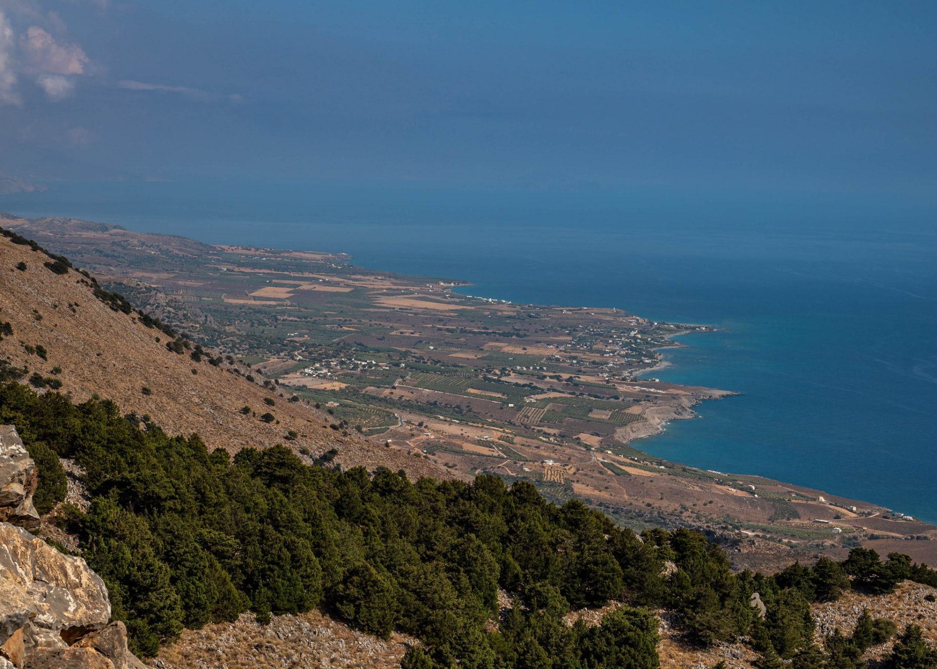 A coastal view over the sea from a pine-covered Cretan hillside